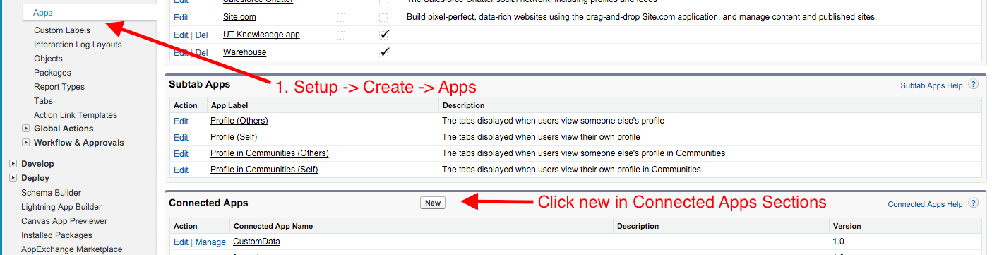 How to test Salesforce Rest API using Rest Client